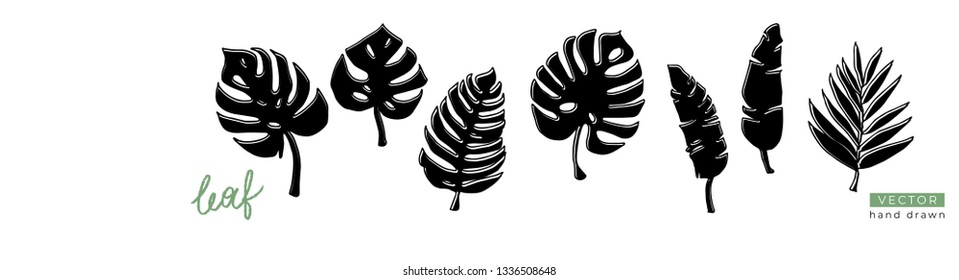 Set of black hand drawn silhouettes of tropical leaves