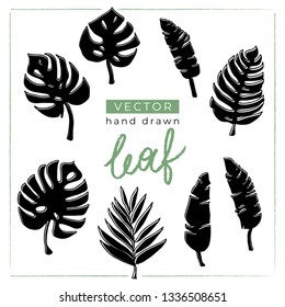 Set of black hand drawn silhouettes of tropical leaves