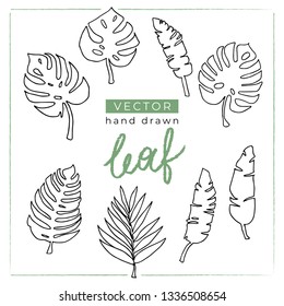 Set of black hand drawn silhouettes of tropical leaves