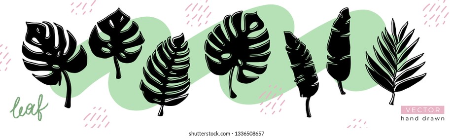 Set of black hand drawn silhouettes of tropical leaves