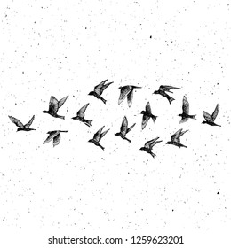 Set of black hand drawn strokes birds, flock. Drawing sketch. On textured Abstract grainy texture dust stain particles like stipple. Inspirational body flash tattoo ink.  Vector.