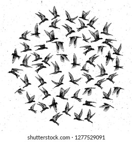 Set of black hand drawn strokes birds, flock. Drawing sketch. On textured Abstract grainy texture dust stain particles like stipple. Inspirational body flash tattoo ink.  Vector.