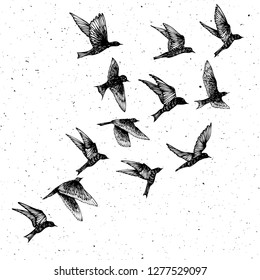Set of black hand drawn strokes birds, flock. Drawing sketch. On textured Abstract grainy texture dust stain particles like stipple. Inspirational body flash tattoo ink.  Vector.
