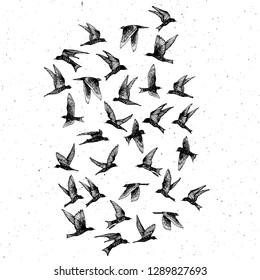 Set of black hand drawn strokes birds, flock. Drawing sketch. On textured Abstract grainy texture dust stain particles like stipple. Inspirational body flash tattoo ink.  Vector.