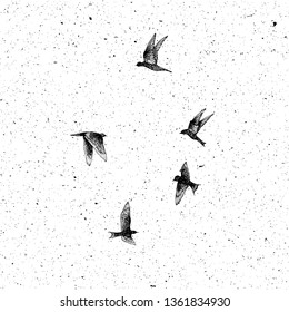 Set of black hand drawn strokes birds, flock. Drawing sketch. On textured Abstract grainy texture dust stain particles like stipple. Inspirational body flash tattoo ink.  Vector.