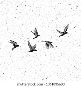 Set of black hand drawn strokes birds, flock. Drawing sketch. On textured Abstract grainy texture dust stain particles like stipple. Inspirational body flash tattoo ink.  Vector.