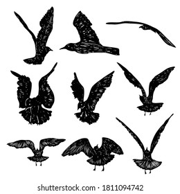 Set of black hand drawn strokes birds seagulls, flock. Drawing sketch of sea birds. On white background. Inspirational for body or skin tattoo ink. Vector.