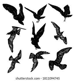 Set of black hand drawn strokes birds seagulls, flock. Drawing sketch of sea birds. On white background. Inspirational for body or skin tattoo ink. Vector.
