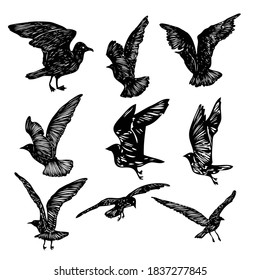 Set of black hand drawn strokes birds seagulls, flock. Drawing sketch of sea birds. On white background. Inspirational body flash tattoo ink. Vector.