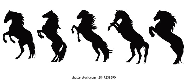 Set black horse on hind legs silhouette on white background vector
