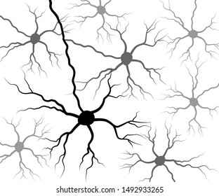 Set black human neuron. Neural network technology science medicine anatomy. Vector illustration
