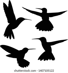 Set of black hummingbird silhouettes