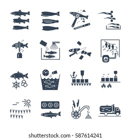 set of black icons processing and preserving of fish