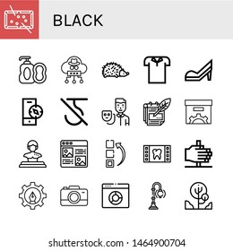 Set of black icons such as Pool, Soap, Cloud, Hedgehog, Polo shirt, High heels, Compass, Do not use hook, Actor, Notes, Box, Statue, Article, Menu, Film, Fire, Fountain pen , black