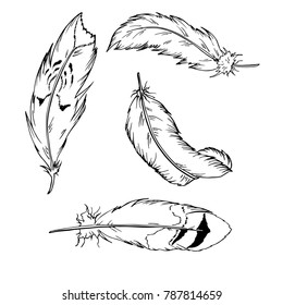 Set of black ink feathers isolated on white background. Hand drawn vector illustration.