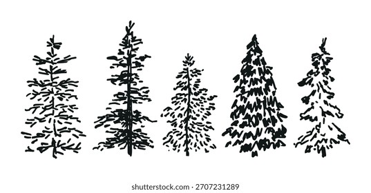 Set of black ink hand drawn Christmas trees in sketch style. Evergreen fir and pine tree silhouettes for forest design, New Year and winter decorations. Vector illustration.