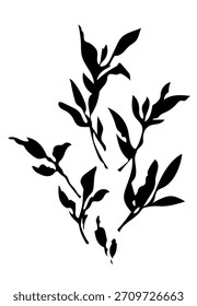 Set of black ink silhouettes showing leafy branches on a white background.