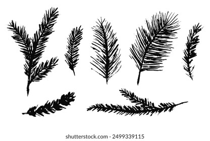 Set of black ink textured coniferous branches forest illustrations. Detailed Christmas fir, pine, cedar, spruce tree twigs for New Year greeting cards and banner decor, pattern design, package