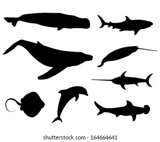 Set of black isolated contour silhouettes of fish, whale, cachalot, sperm-whale, shark, narwhal, unicorn-fish, numb-fish, cramp-fish, dolphin  Icons collection of ocean animals