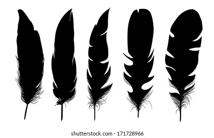  set of black  isolated feathers on white background