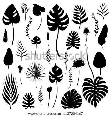 Set of black isolated silhouettes of tropical leaves, grasses and flowers of various kinds. Vector modern illustration