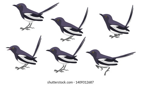 Set of black isolated vector silhouettes of birds (magpie). Vector illustration