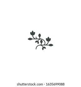 set of black leaf branches, twigs, flowers and silhouette concoctions