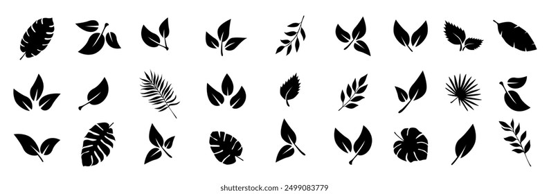 Set of black leaf icons.  Tropical leaves. Leaves of trees and plants. Leaves on white background. Ecology. Vector illustration.