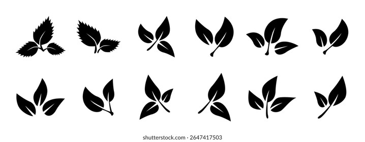 Set of black leaf icons.  Tropical leaves. Leaves of trees and plants. Leaves on white background. Ecology. Vector illustration.