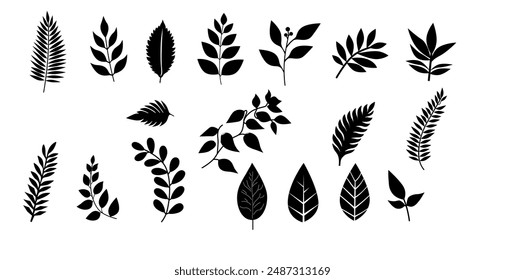 Siluetas de hojas blancas y negras con diferentes diseños botánicos, ideales para Ilustraciones vectoriales inspiradas en la naturaleza y proyectos decorativos