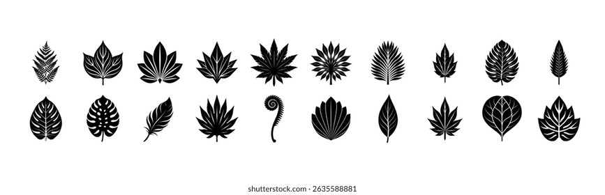 Set of Black Leaf Silhouettes  Botanical Vector Icons Collection in Minimal Style