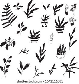 set of black leaf silhouettes .  Isolated vector on white background.