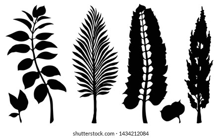 Set of black leaves. Branches are on white isolated background. Vector illustration.