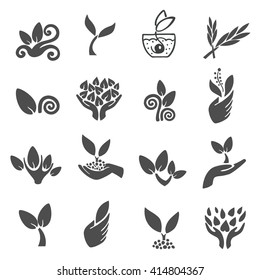 Set of black leaves design elements. Plant and sprout growing icons flat line design vector.