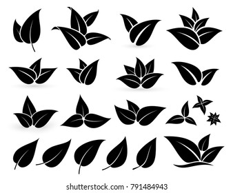 Set of black leaves logo template. Vector illustration Isolated on white background