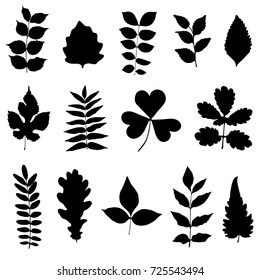 Set of black leaves on a white background