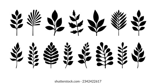 Silueta de hojas negras, elemento decorativo herbal, planta natural. Ilustraciones botánicas para el diseño o la decoración de la naturaleza. Decoración de follaje para invitaciones, rama negra. Ponga siluetas de hojas.