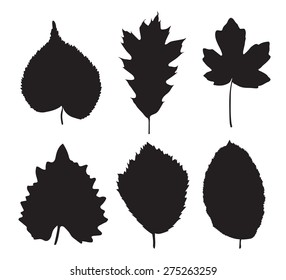 set of black leaves silhouettes