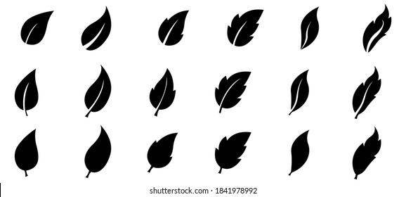 Set of black leaves. Vector icons for website. Illustration for stock	