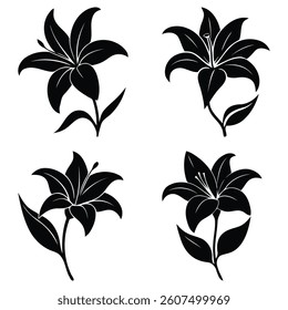 Set black lily flower black silhouettes on white