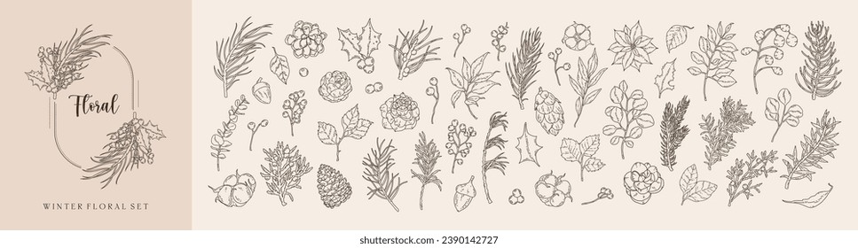 Set von schwarzen Linie Kunst Winter botanische Weihnachtspoinsettia, Kiefern, Tannenäste, Zweige, Blätter. Winterblumenreihenlinie, handgezeichnet Skizze. Vektorgrafik für Hochzeitskarte