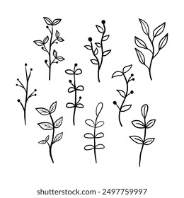 Set of black line doodle long stem leaves and pollen on white background. Vector illustration about nature.