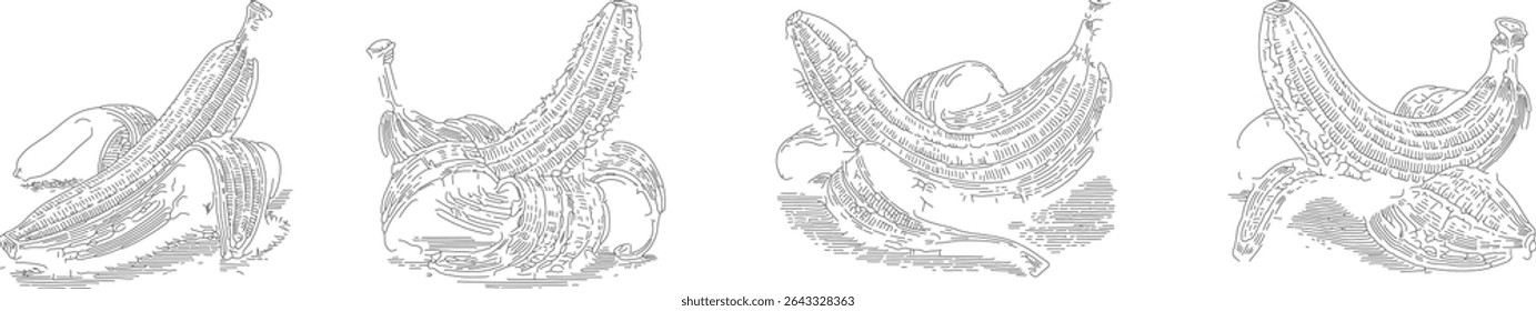 Conjunto de linhas pretas desenhando ilustrações vetoriais de banana semidescascada - design minimalista do fruto do contorno para impressão, embalagem, ícone 
