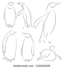 Set of black line penguins on white background. Sketch style Vector graphic icons animal.