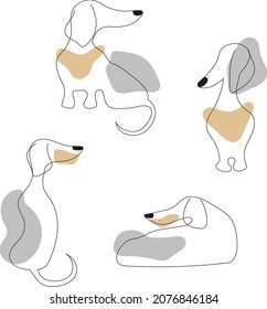 Set of black line silhouettes or contours of dog Dachshund breed in various poses with spots. Hand-drawn stylized image. Vector illustration