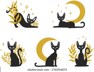 Set of black magic cats and plants. Isolated boho cat collection. Vector illustration.