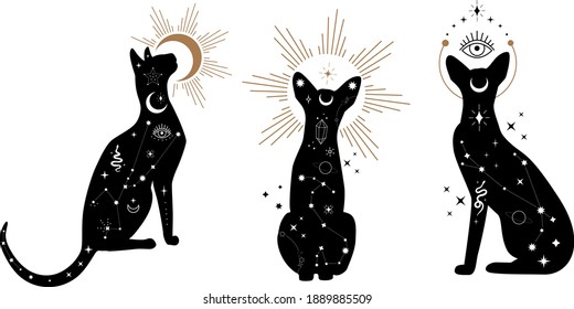 Set of black magical cats, Mystic Sphynx cat with crescent moon esoteric symbol, constellation, stars  magical elements. Magical cat,witchy black cat