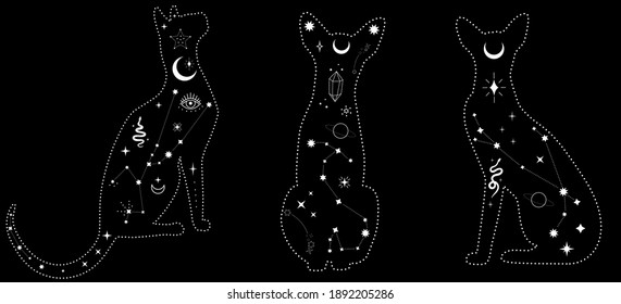 Set of black magical cats, Mystic Sphynx cat with crescent moon esoteric symbol, constellation, stars  magical elements. Magical cat,witchy black cat