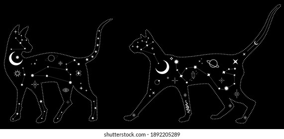 Set of black magical cats, Mystic Sphynx cat with crescent moon esoteric symbol, constellation, stars  magical elements. Magical cat,witchy black cat