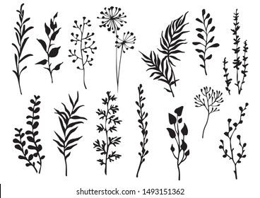 Set of black meadow herbs, branch and leaves. Design floral elements. Vector illustration.